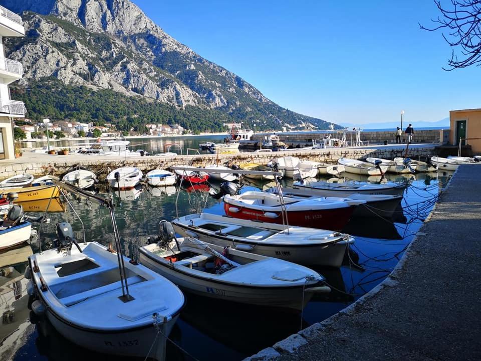 Apartment Ana - Gradac Gradac  Exterior photo